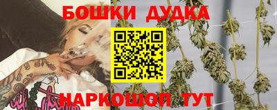 гидра Бузулук