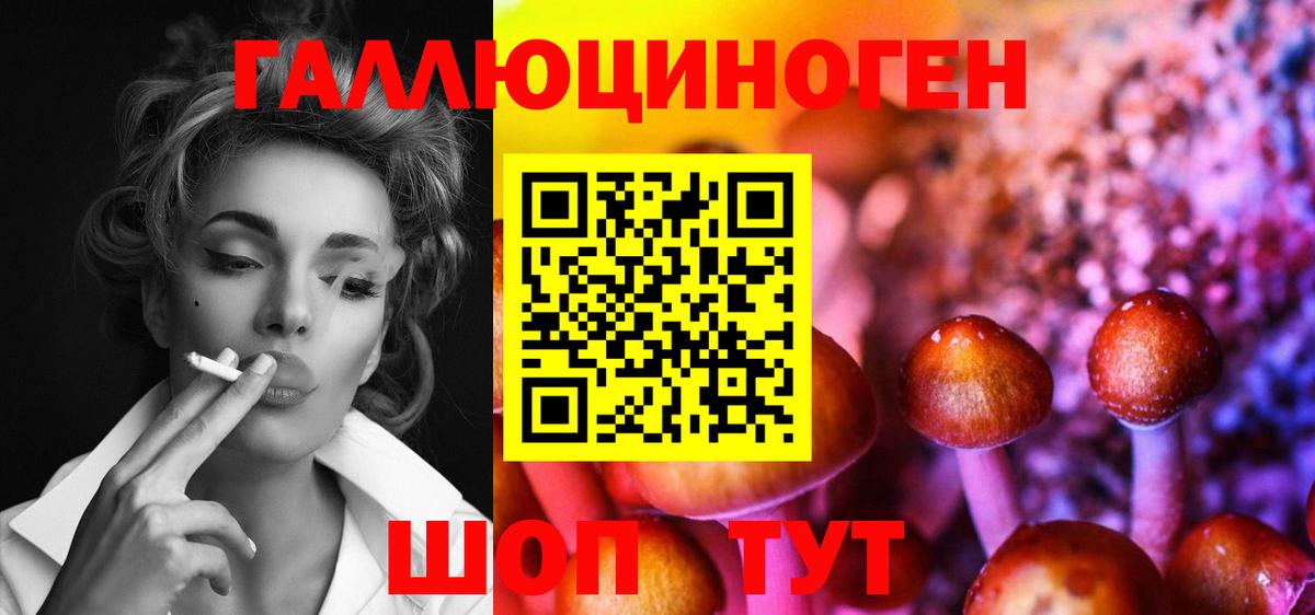 Красноперекопск  Псилоцибиновые грибы прущие грибы  как найти закладки  Вход с VPN 