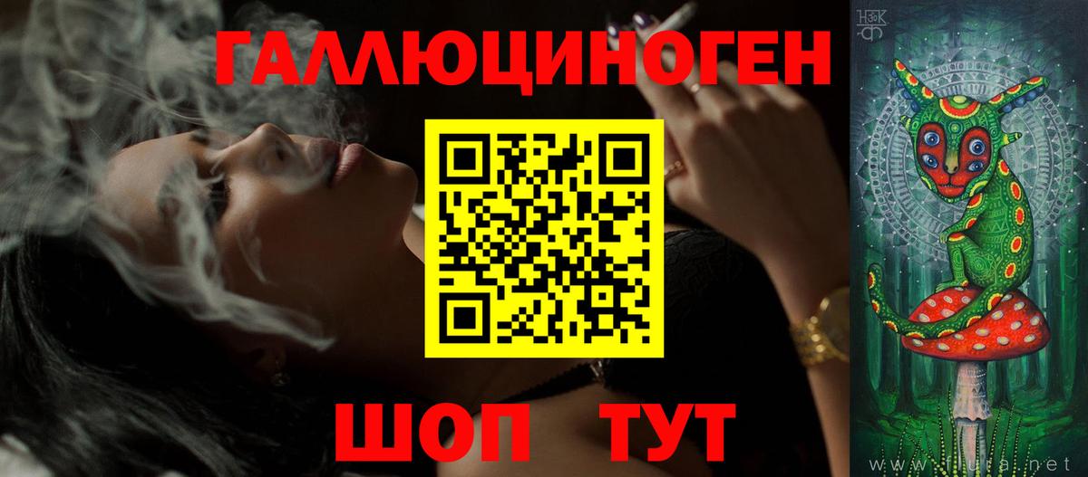 Галлюциногенные грибы Psilocybe Красноперекопск